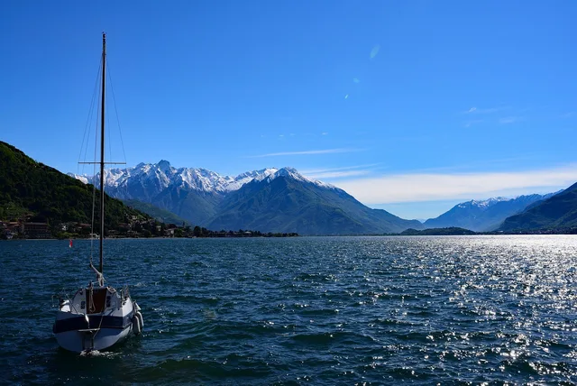 vogel, malaysia vögel, natur, breiten mund vogel. IT-Dienstleister anhand von Leistungsprofilen prüfen